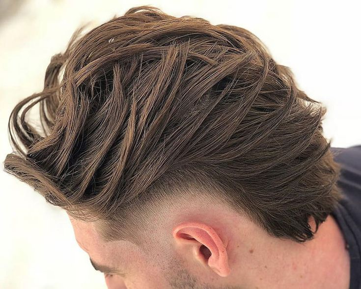 24. Mullet