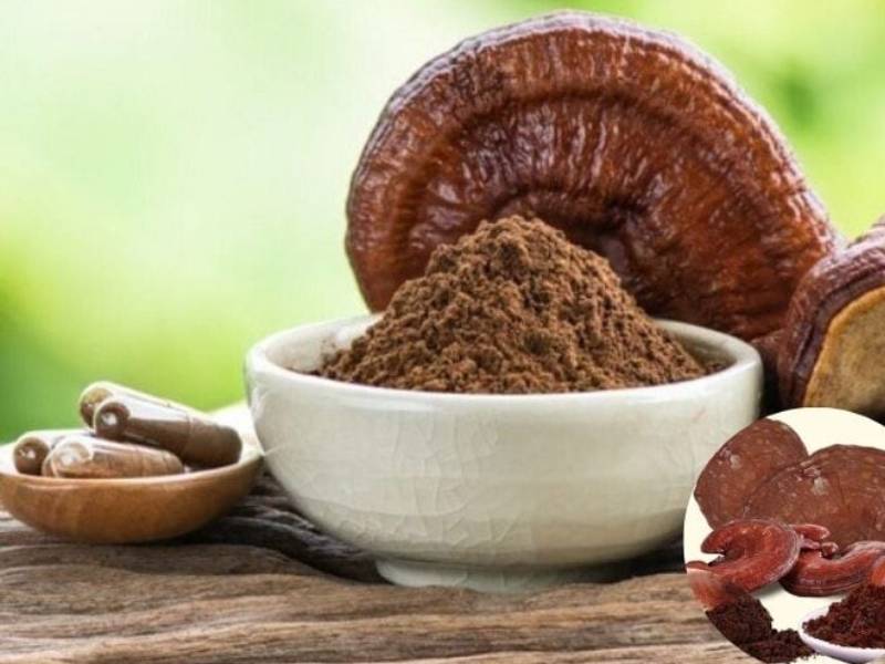 Bột nấm linh chi