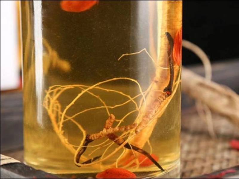 Đông trùng hạ thảo dạng ngâm rượu và mật ong