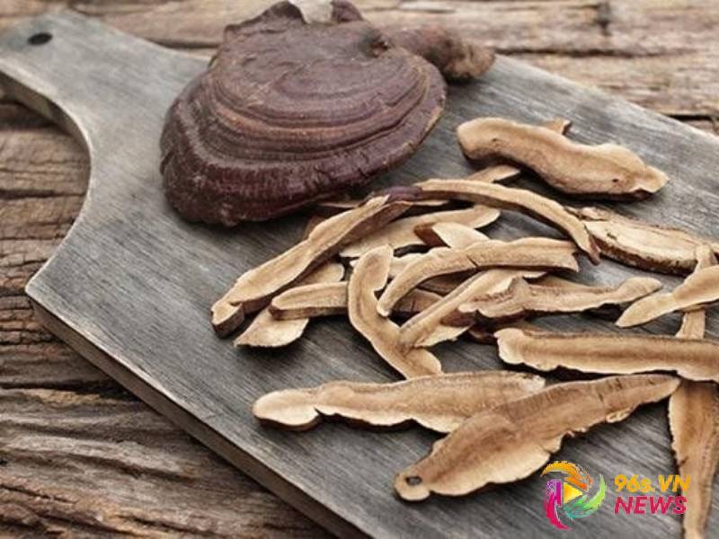 Nấm linh chi- thần dược sức khỏe