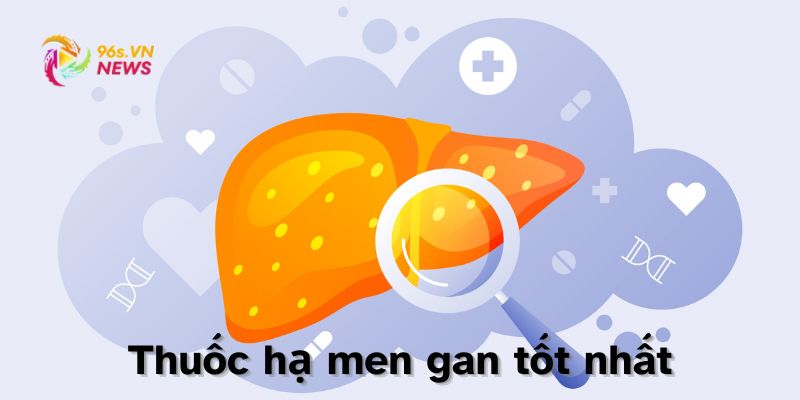 Thuốc Hạ Men Gan Tốt Nhất