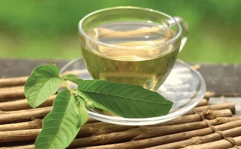 Uống nước lá ổi giảm cân vào lúc nào tốt nhất?