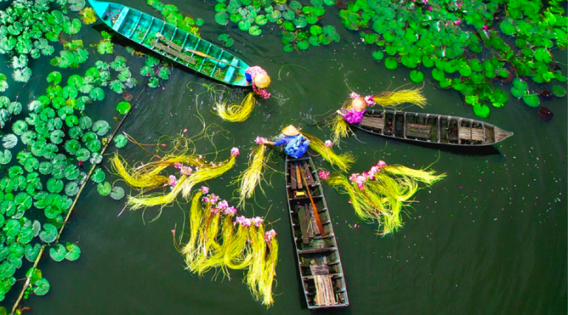 Miền Tây