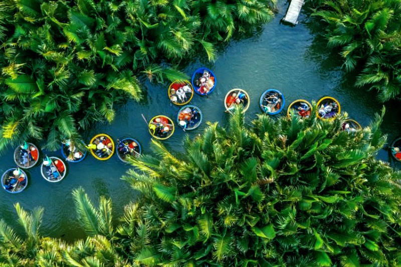 Rừng dừa Bảy Mẫu