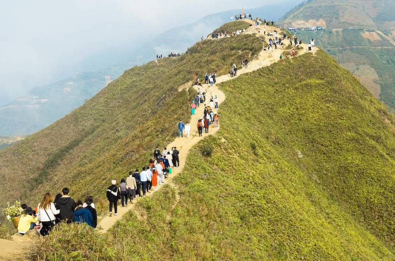 Sống Lưng Khủng Long