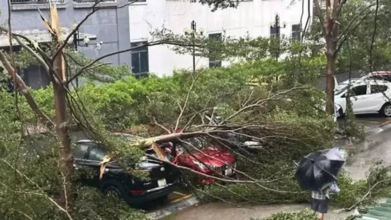 Thiệt hại ở miền Trung – Nơi bão đổ bộ trực tiếp