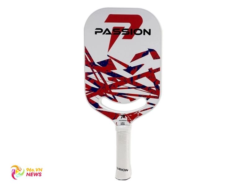 Giới thiệu về hãng vợt Pickleball Passion
