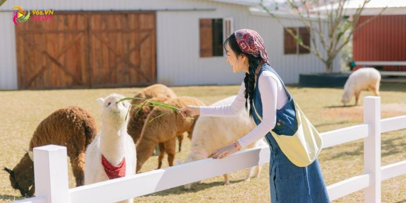 Khám phá các điểm check-in nổi tiếng