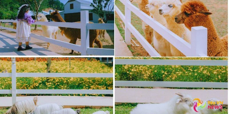 Kinh nghiệm chuẩn bị trước chuyến đi Đà Lạt